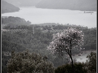 DSC 0415 Sierra del SEgura